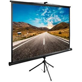  Экран Cactus 160x160см TriExpert CS-PSTE-160x160-BK 1:1 напольный рулонный черный 